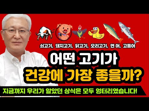 E674 지금까지 우리가 알았던 상식은 모두 엉터리였습니다! 쇠고기, 돼지고기, 닭고기, 오리고기, 연어, 고등어-어떤 고기가 건강에 가장 좋을까? 숀리의 콜레스테롤 퇴치 프로젝트