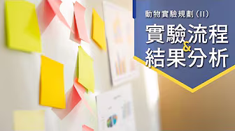 Video 3