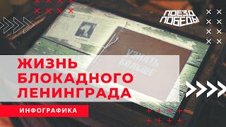 Инфографика 