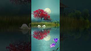 video background pemandangan alam no copyright