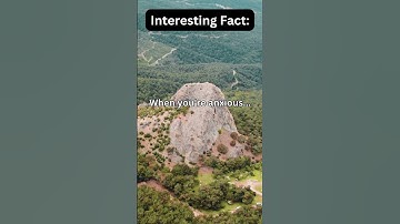 Interesting Fact: #psychology #shorts