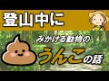 [#48][Webセミナー]登山中にみかける動物のうんこの話（うんち・糞・便）