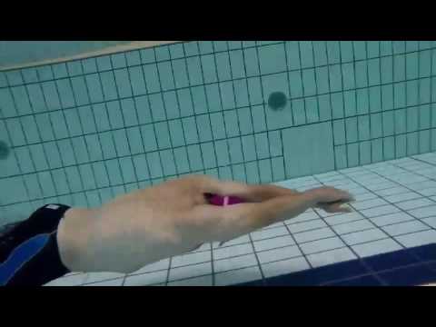 巽公秀 水泳短距離チャンネル