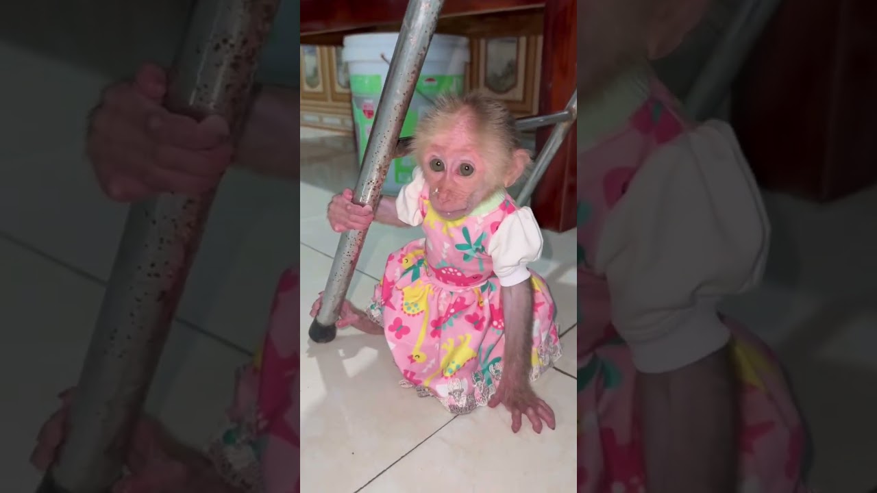 Bibi is happy to wear a beautiful dress 