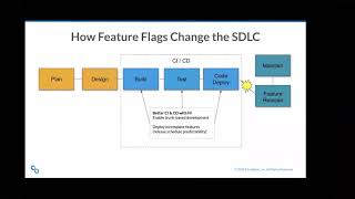 Celebrity Evolving Continuous Delivery Using Feature Flags Net Worth