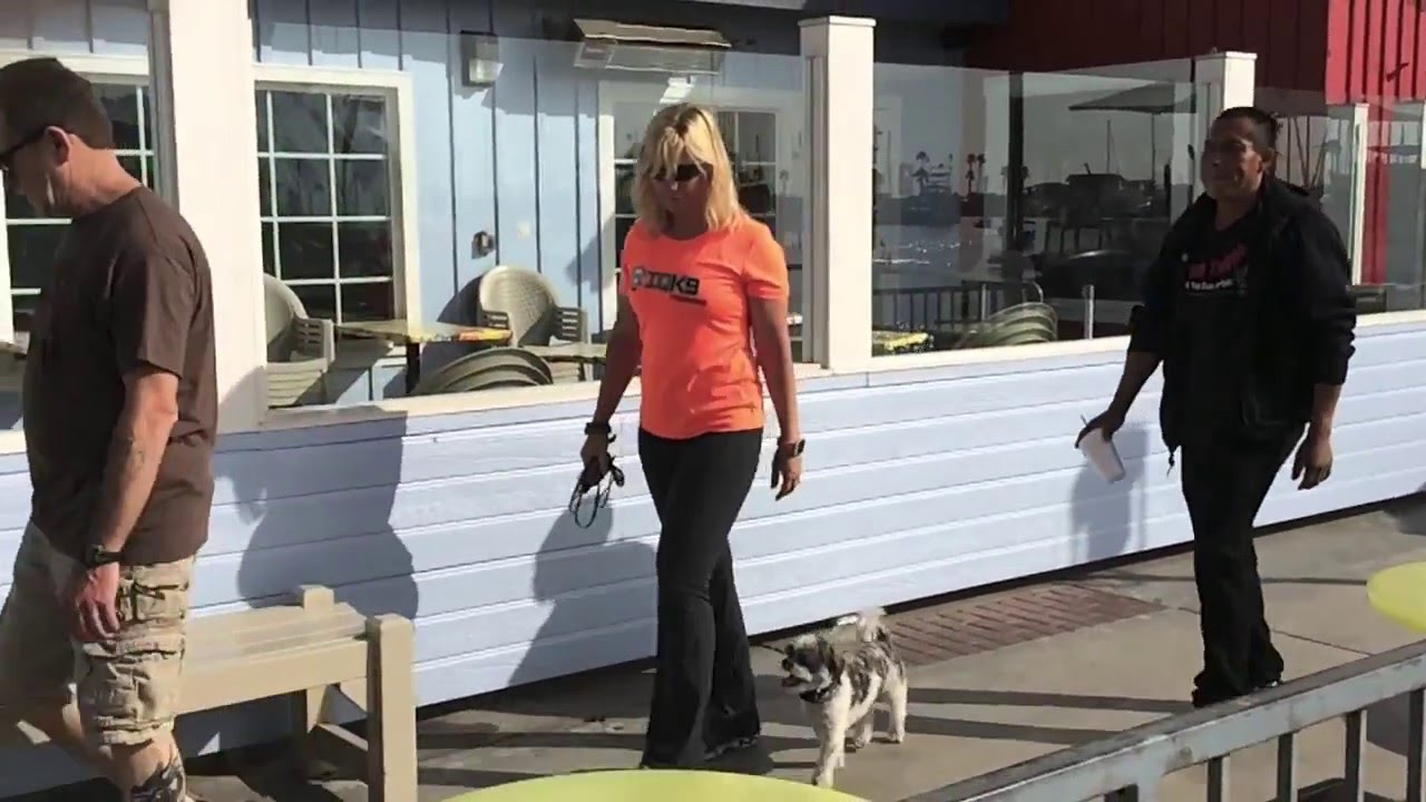 IQ K9 TRAINING Oceanside Dog Training Lianne Shinton, Certified Dog