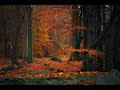 PERSIAN FLUTE MUSIC FOR MEDITATION AND SLEEP