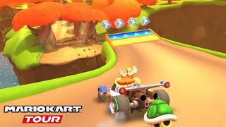 Maple Treeway (Wii) - Mario Kart Tour