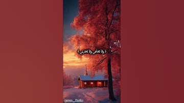 #سورة القصص(7) #قرآن_كريم #اكسبلور #راحة_نفسية