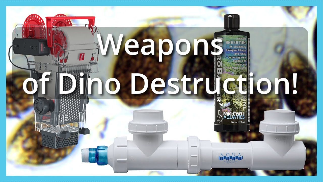 Борьба с динофлагеллятами в моем рифовом аквариуме: УФ, ReefMatt и Microbacter7