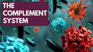 Immunology Lecture 6 - The Complement System