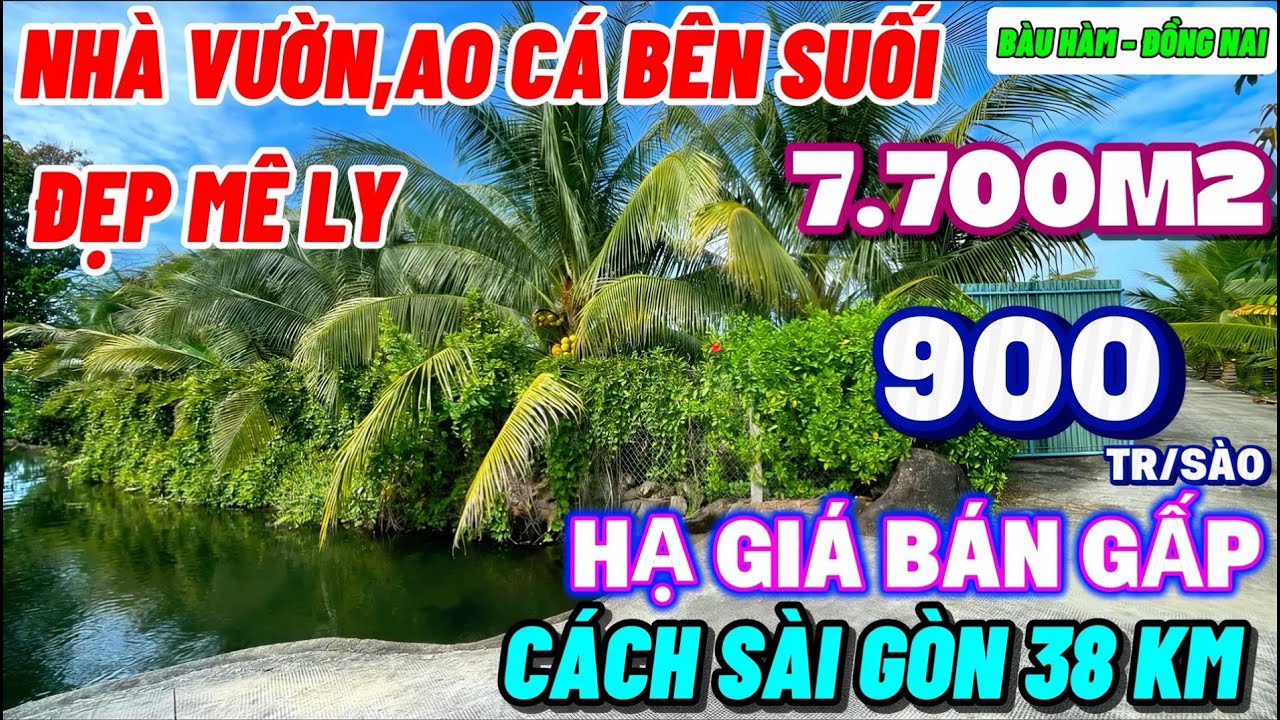 Nhà đất đồng nai, Hạ giá bán gấp nhà vườn trái vây xum xuê , ao cá đẹp bên suối trong vắt thích mê
