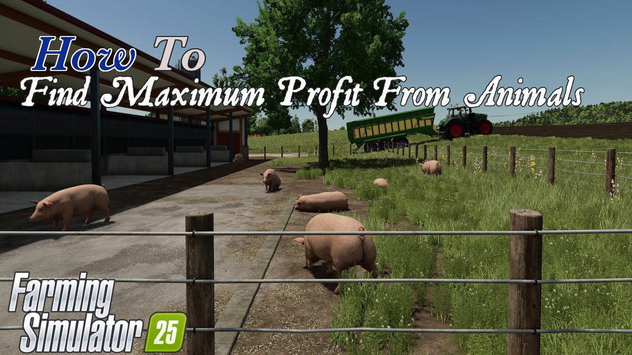 How To | Find Maximum Profit From Animals | Pigs | Farming Simulator 25