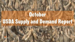 Analyzing the October USDA Reports: Unpacking the Bullish Supply-Demand Dynamics