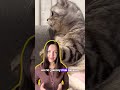 Моя страница ВК и инст про недвижимость @profurul. Мой тг канал про торги: @profurul