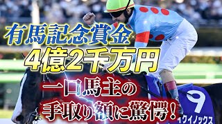 【一口馬主の真実】イクイノックス2022年有馬記念勝ち賞金、5口出資者の手取り額はいくら？【節約大全】vol.995