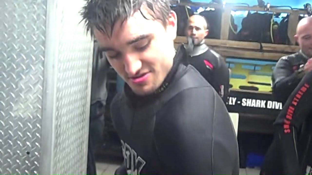 #WantedWednesday - TW Shark Bait