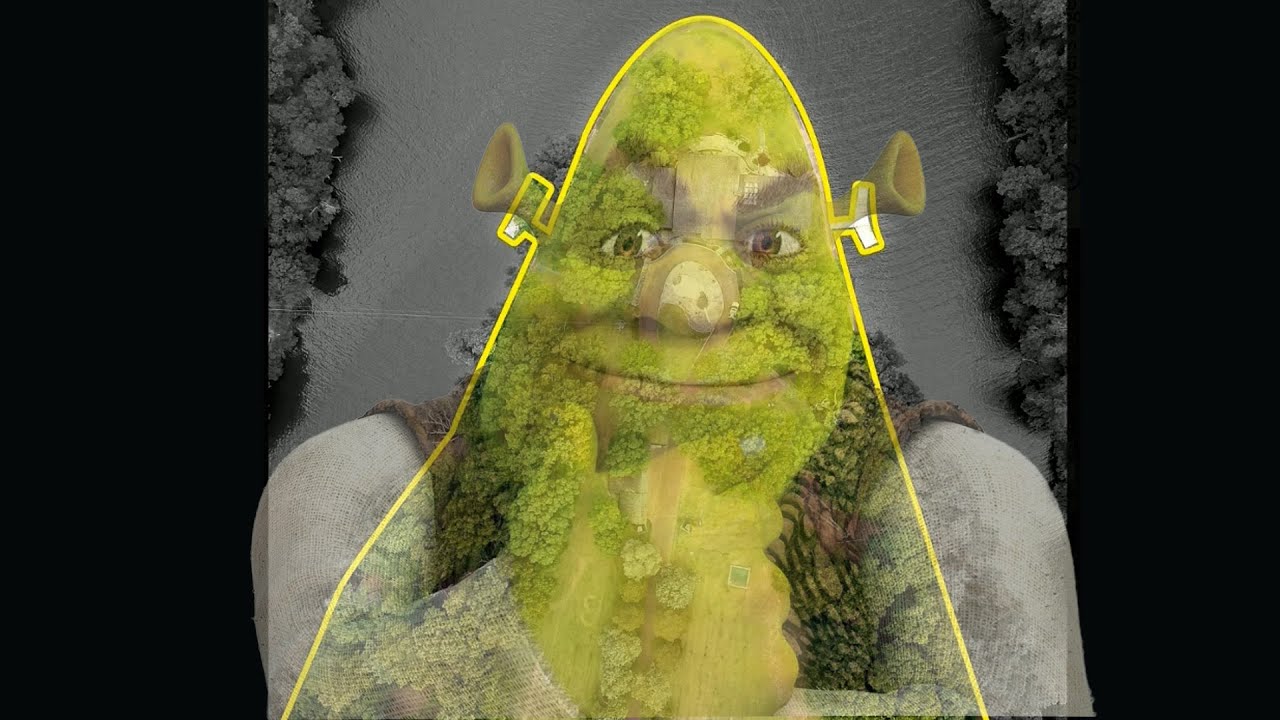 Shrek lot on Zillow Gone Wild