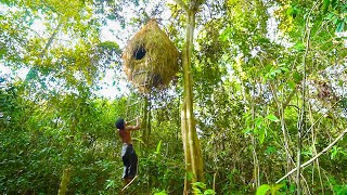 Man Live Off Grid Build a Birdnest Tree House by ancient skills