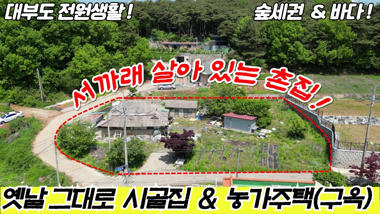 (매물번호 : H408) 촌집 그대로 서까래 있는 옛날 시골집(농가주택, 구옥)과 토지 전 매매 !!