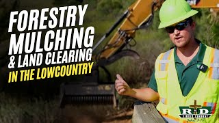 Land Clearing Company Working in Ridgeland, SC | R&D Timber at Knowles Island Plantation