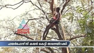 Fire & Rescue team saved a man who got stuck in tree screenshot 5
