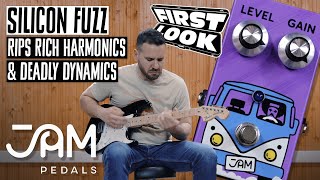 JAM Pedals Fuzz Phrase Si Demo | First Look