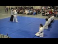 Aikido Demo 2016 Animazement