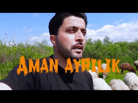 Pervin Seferov - Ayrılıq - Yaman Ayrılık canlı