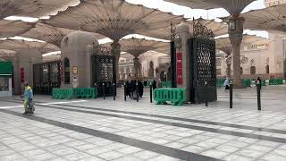 خيارات السفر من المدينة المنورة إلى مكة المكرمة وسائل النقل
