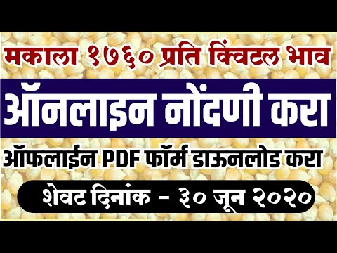 Maize online crop registration  | crop registration pdf form | खरेदी विक्री ऑनलाईन पिक विक्री नोंदणी