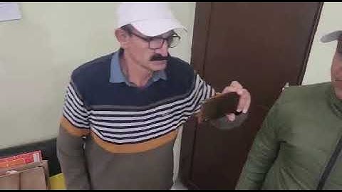 action words (FLN)capacity building programme under NIPUN HIMACHAL mission  Edu BLOCK CHOPAL Shimla.