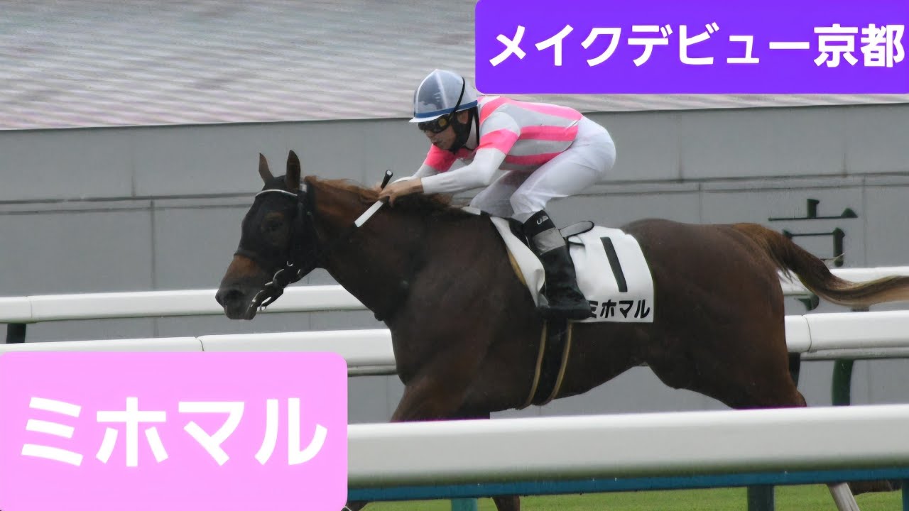 現地映像】2026年メイクデビュー京都（2歳新馬）優勝馬ミホマル号