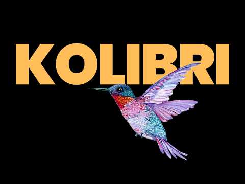 Thumbnail for Kolibri Has Landed: A Sovereign Open-Weight Model from Germany