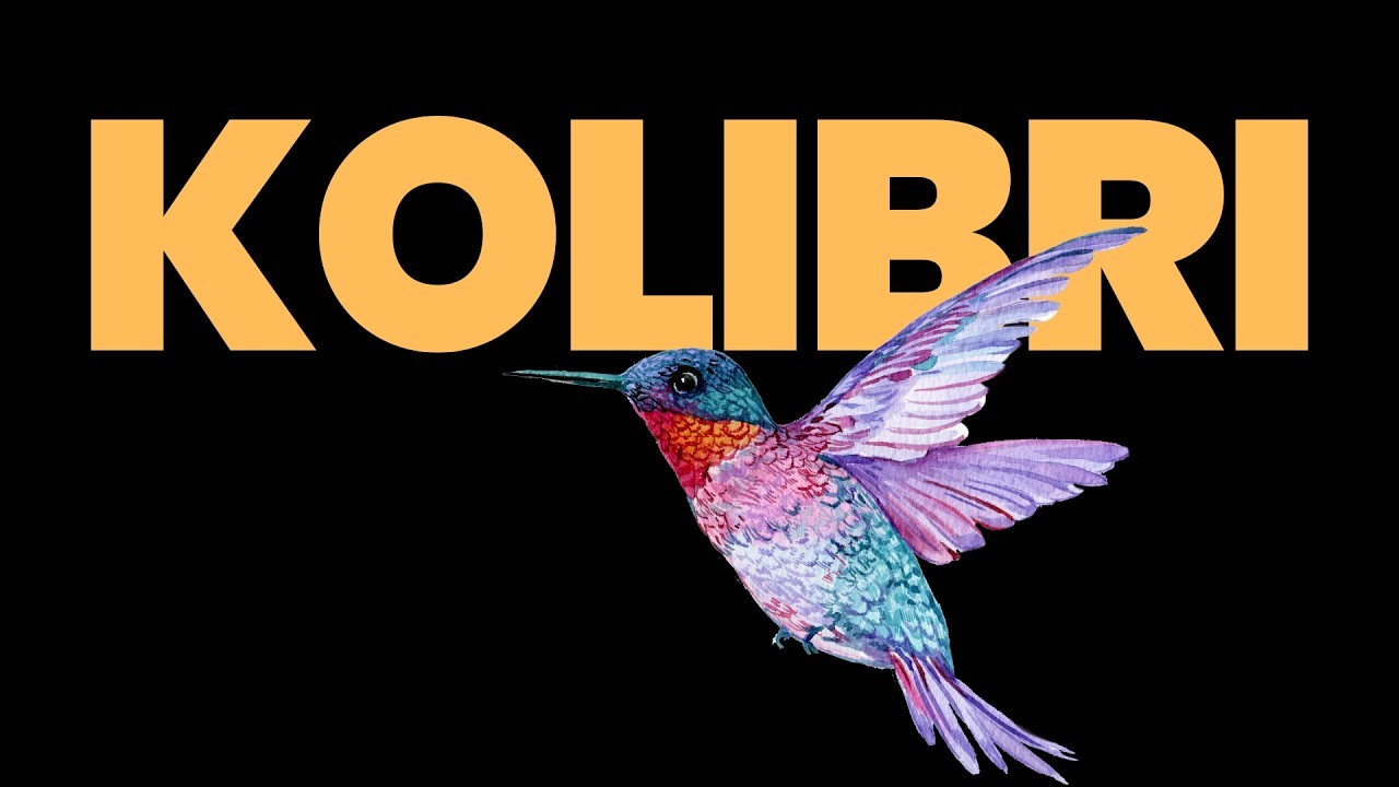 Kolibri Has Landed: A Sovereign Open-Weight Model from Germany
