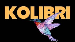 Kolibri Has Landed: A Sovereign Open-Weight Model from Germany