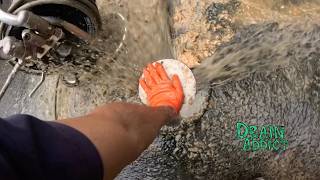 Blocked Drain 1242