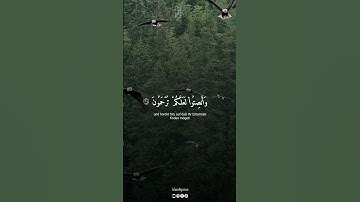 وَإِذَا قُرِئَ الْقُرْآنُ فَاسْتَمِعُوا لَهُ، سورة الأعراف بصوت القارئ ياسر الدوسري
