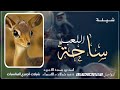 ساحة اللعب اداء احمد الرجعان جديد 2026