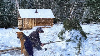 Life in a Log Cabin far from People in a Siberian Forest - Cold Winter is Coming
