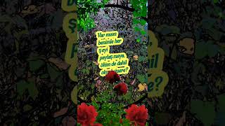 Duygusal Bir Sevda Sözü (Yazan:ekrem Keyfli)