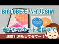 【SIM差し込み〜速度計測まで】iPadのデータ通信用のBIGLOBEシム(SIM)カードが届いたので早速使ってみた