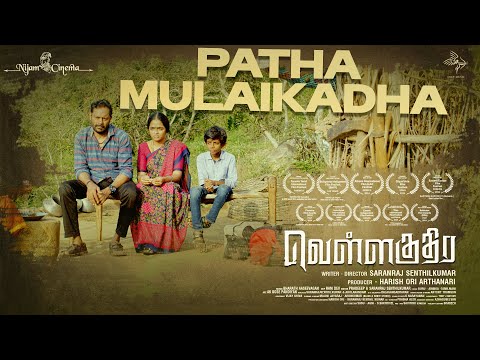 Patha Mulaikadha Lyric Video - Vellakuthira | Harish Ori | Bharath Aaseevagan | DWP Music