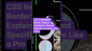 CSS Individual Border Radius Explained | Round Specific Corners Like a Pro