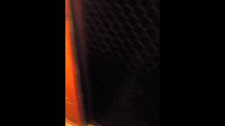 IMG 0155