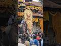 Thrissur pooram thechikottu raman elephant #pooram #thrissurpooram #kerla #trending #temple #india