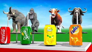 Mystery Drink Challenge with Elephant Mammoth Gorilla CowGuess Max Level Squeeze Choose Right Drink