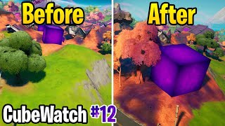 Cubes are spreading CORRUPTION! - Fortnite CubeWatch #12
