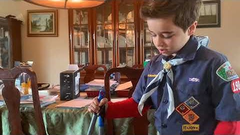 Robotics adventure requirement 4 -- Bears