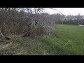 A quick walk around